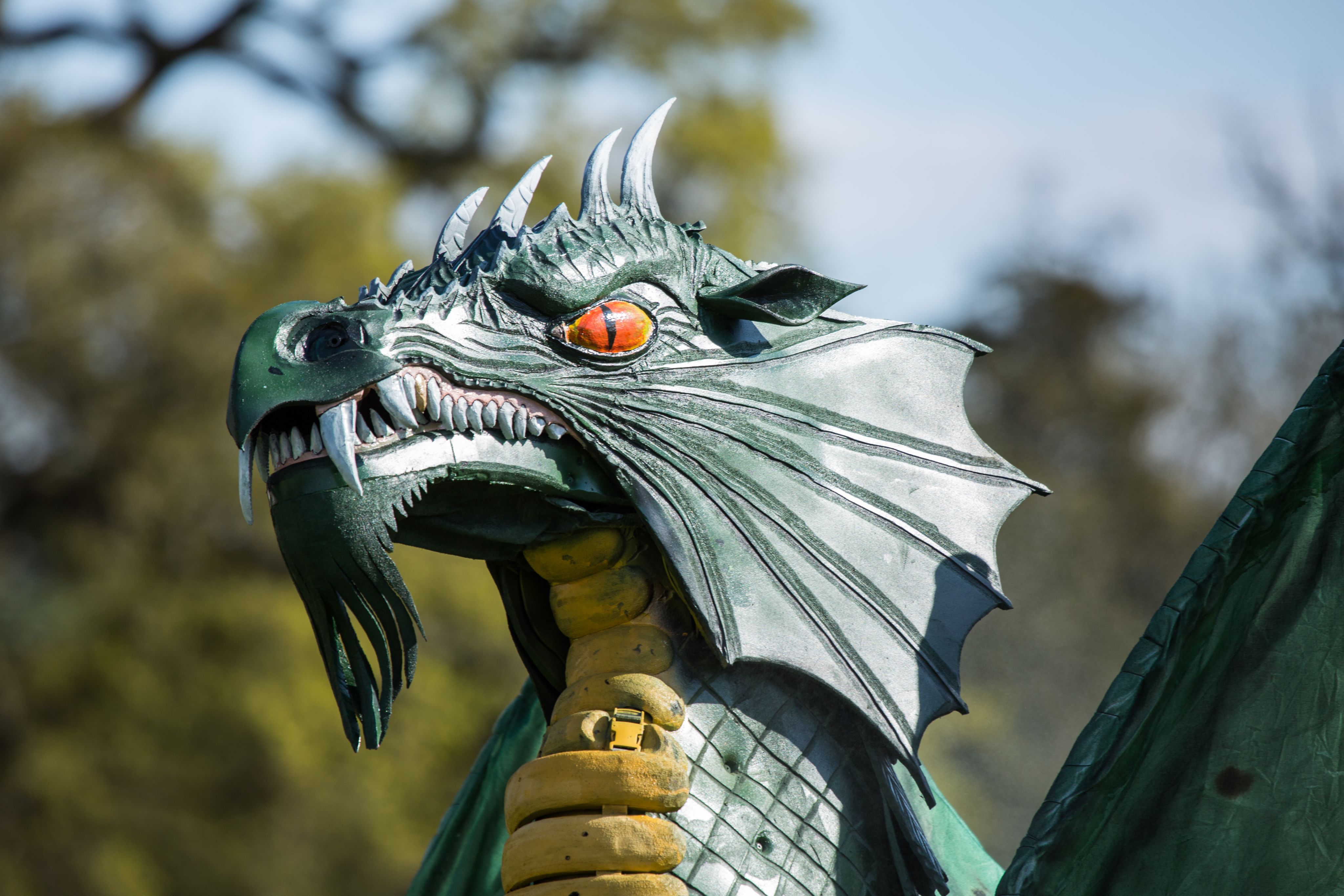 Vận trình hôm nay dự báo rằng người tuổi Thìn sẽ đón nhận được nhiều niềm vui về tài lộc